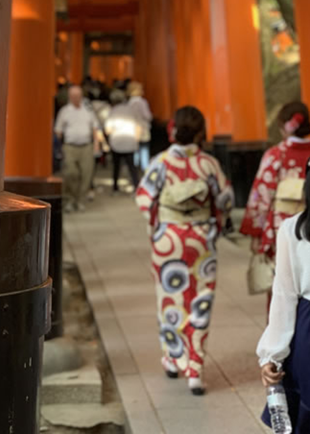 伏見稲荷　千本鳥居（京都）Fushimi Inari